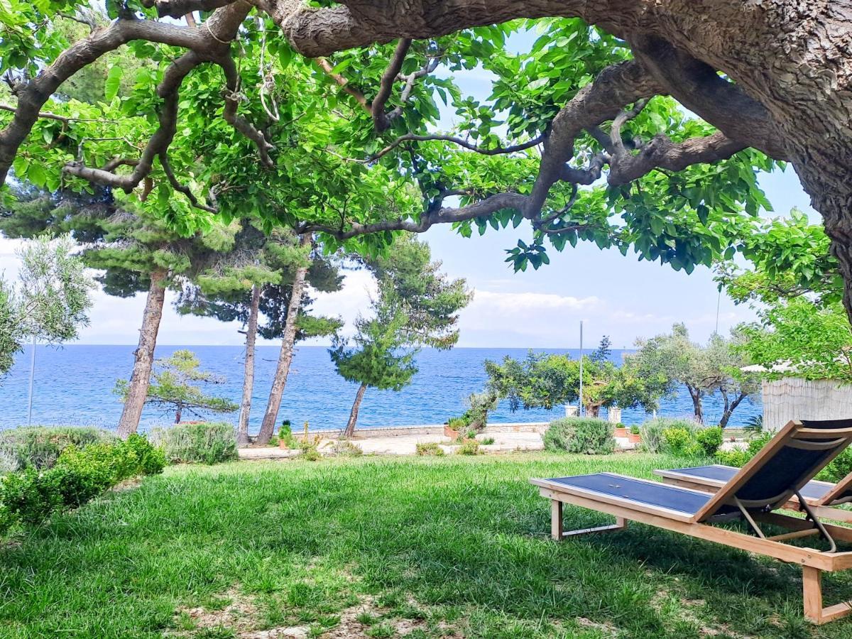 Nama Beach House Arkadiko Chorio Екстериор снимка