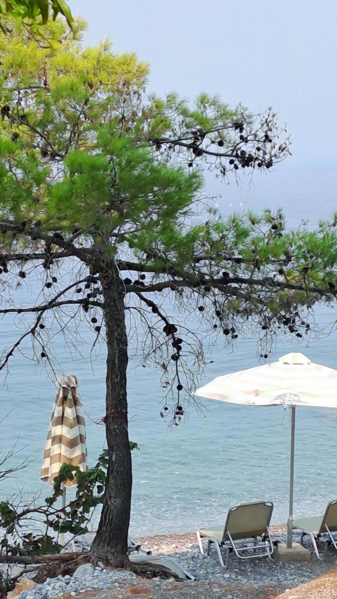 Nama Beach House Arkadiko Chorio Екстериор снимка
