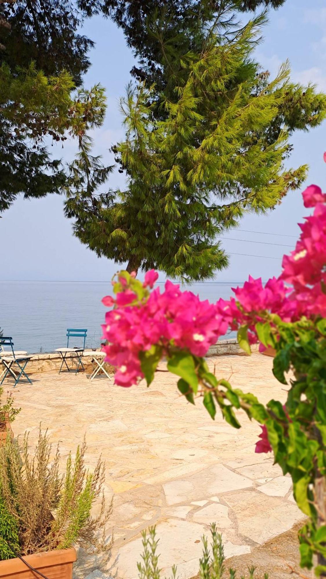 Nama Beach House Arkadiko Chorio Екстериор снимка